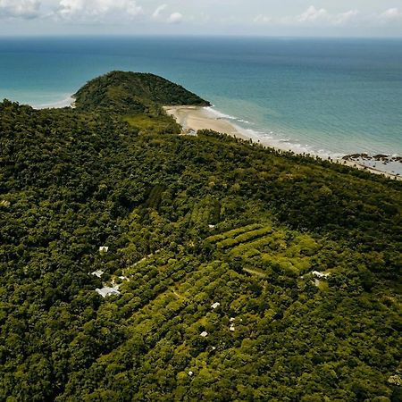 לינה וארוחת בוקר קייפ טריבוליישן Cape Trib Farm מראה חיצוני תמונה