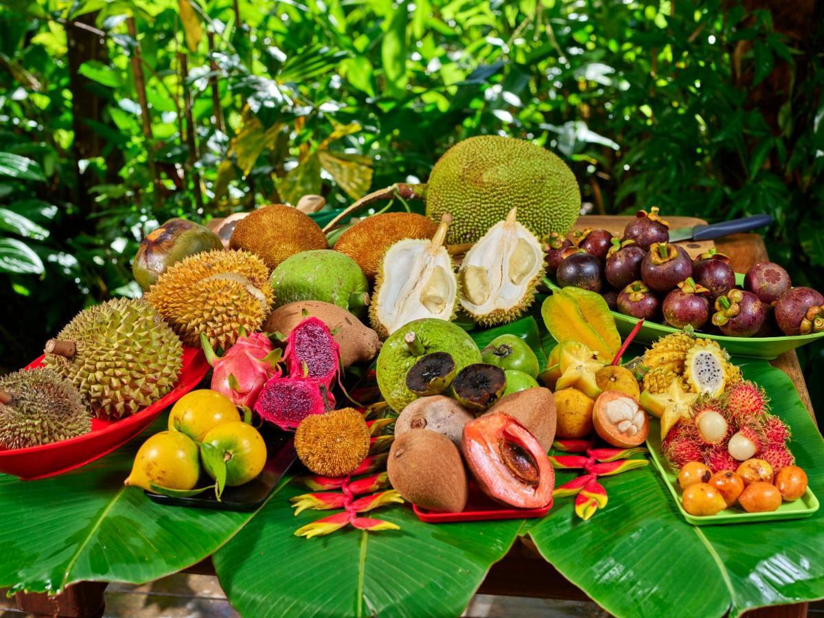 לינה וארוחת בוקר קייפ טריבוליישן Cape Trib Farm מראה חיצוני תמונה